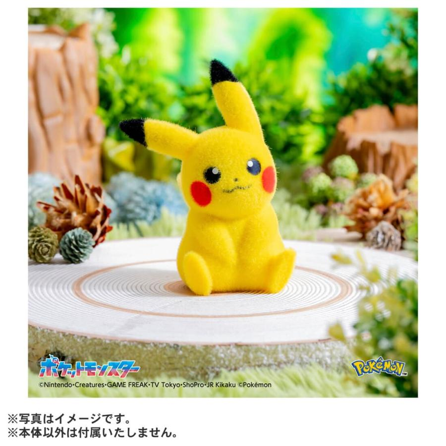 日本限定 TAKARA TOMY Pokemon 寶可夢掌上互動 毛絨 皮卡丘 Pokefuwa 