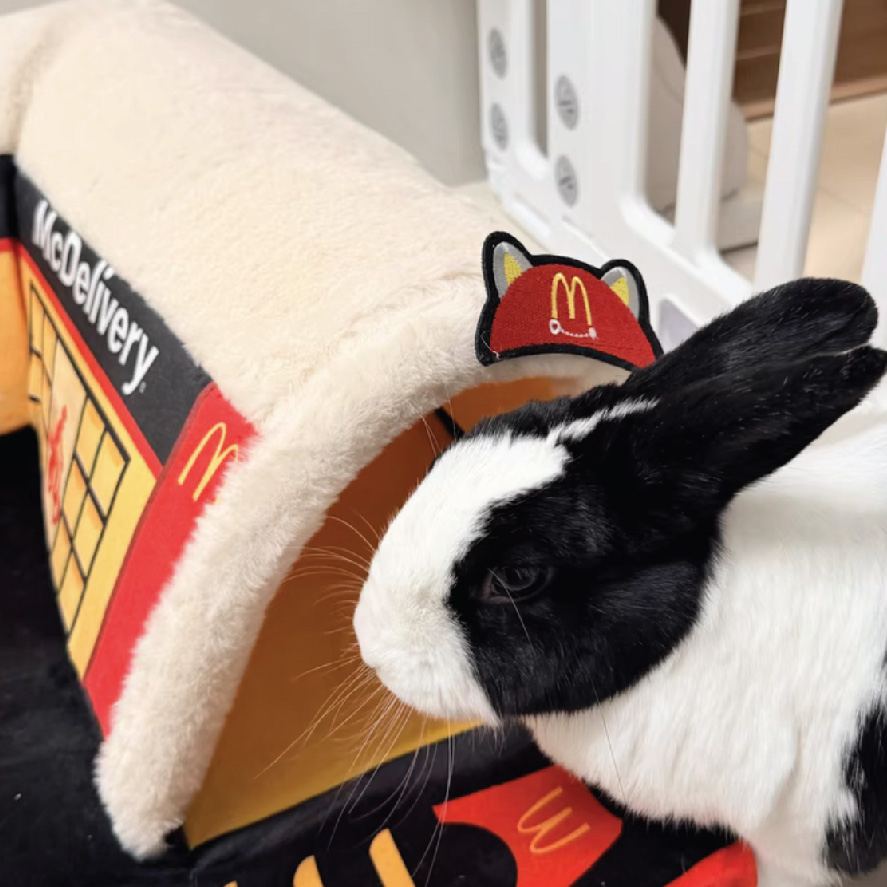 麥麥喵帽子隧道窩