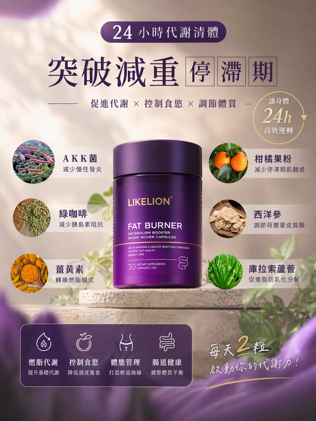 德國促排燃脂代謝膠囊