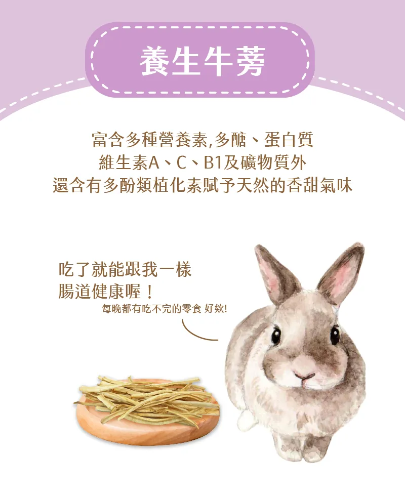 台灣愛米可緹 養生牛蒡 - 20g