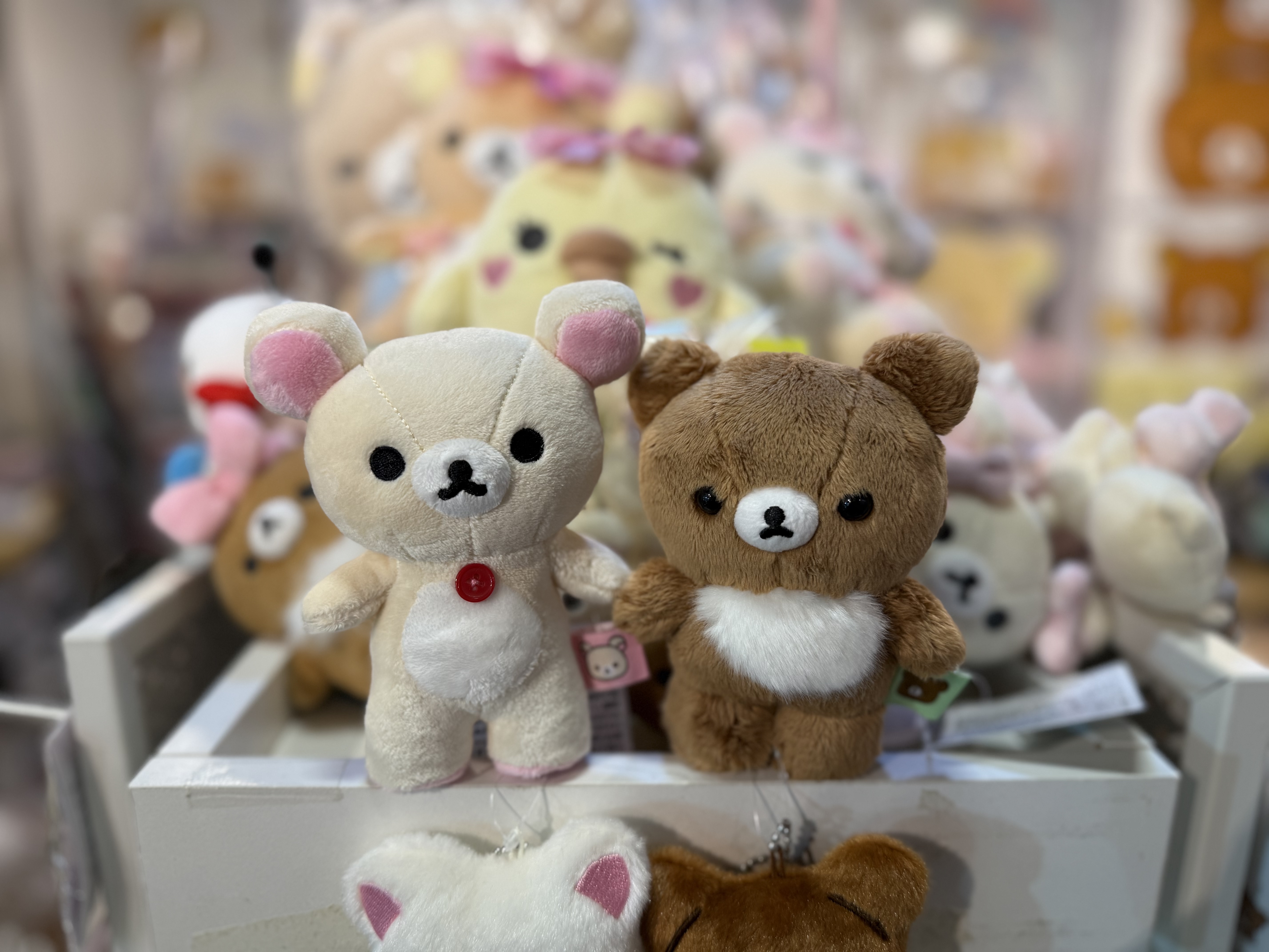 《現貨》全新小白熊/小熊站立公仔（s size)