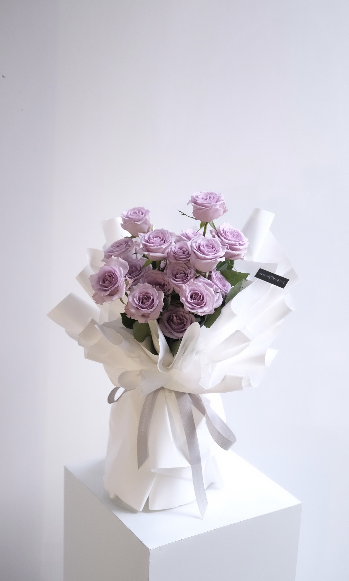 Violet rose (20stems)
