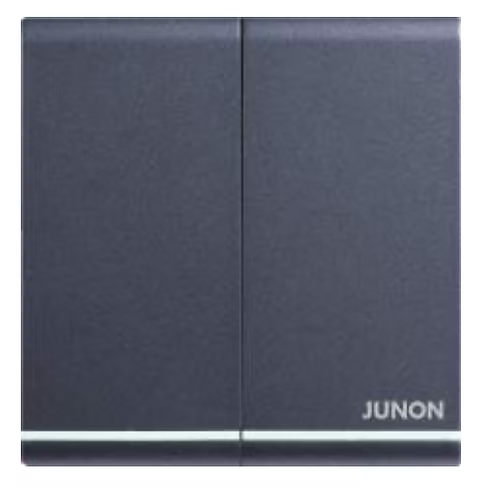 俊朗 天悅 黑 2位雙控 開關掣