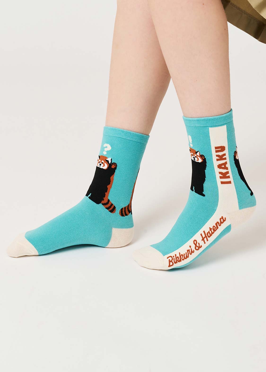 📦訂購 日本限定 graniph IKAKU Red Panda 小熊貓 中筒襪