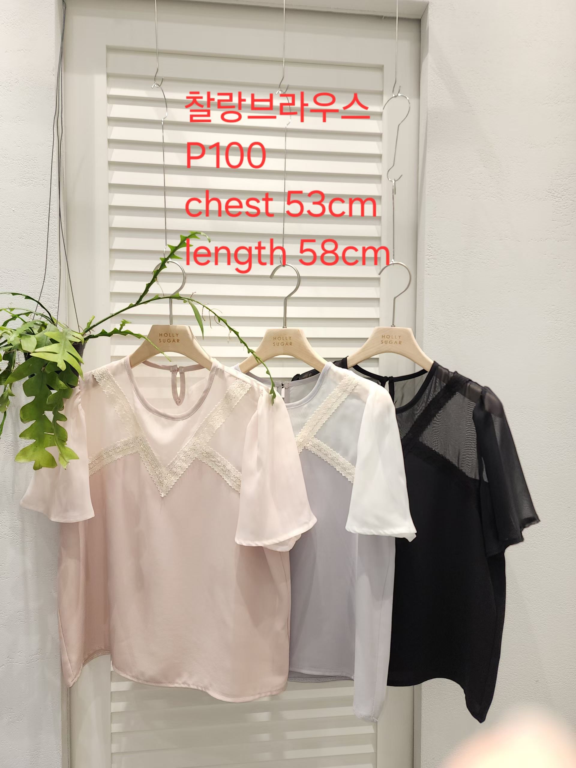 HS05_05 半透M肩BL (3色)