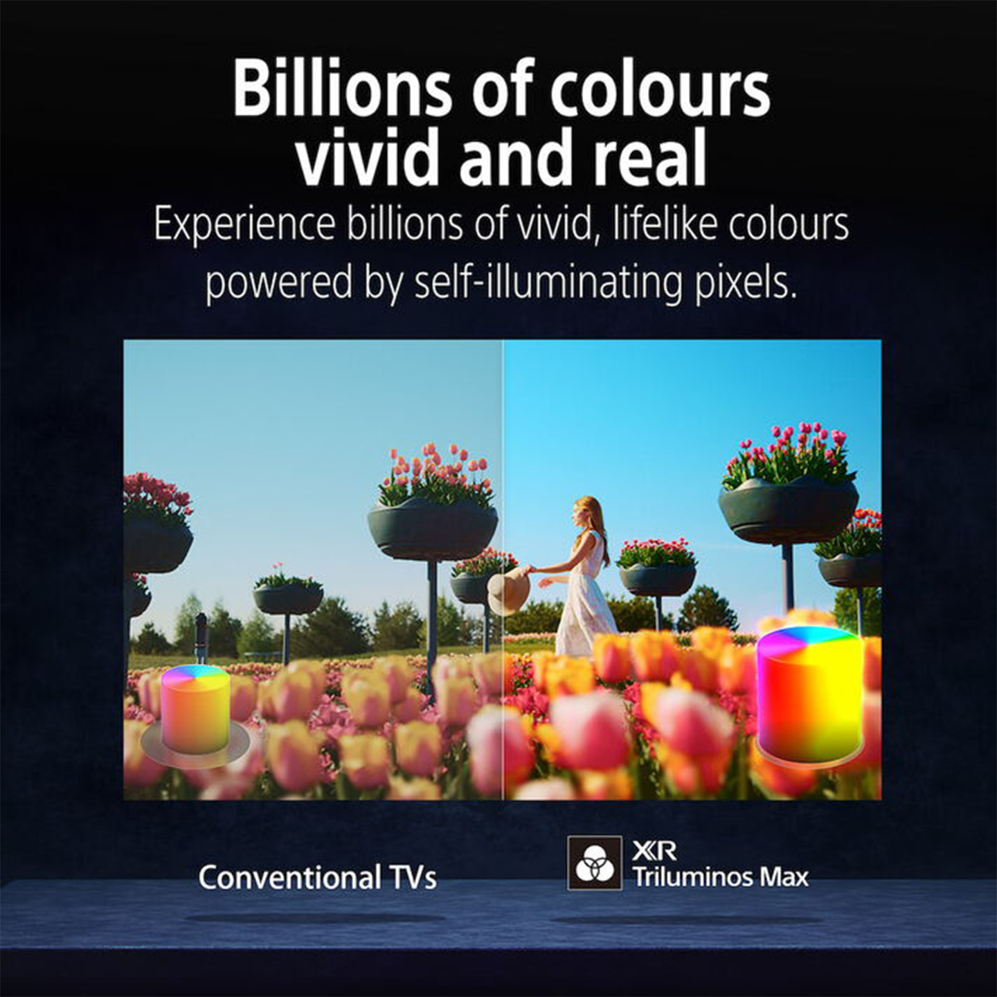 Sony 65" BRAVIA 8 OLED 4K Google TV (K-65XR80M2)