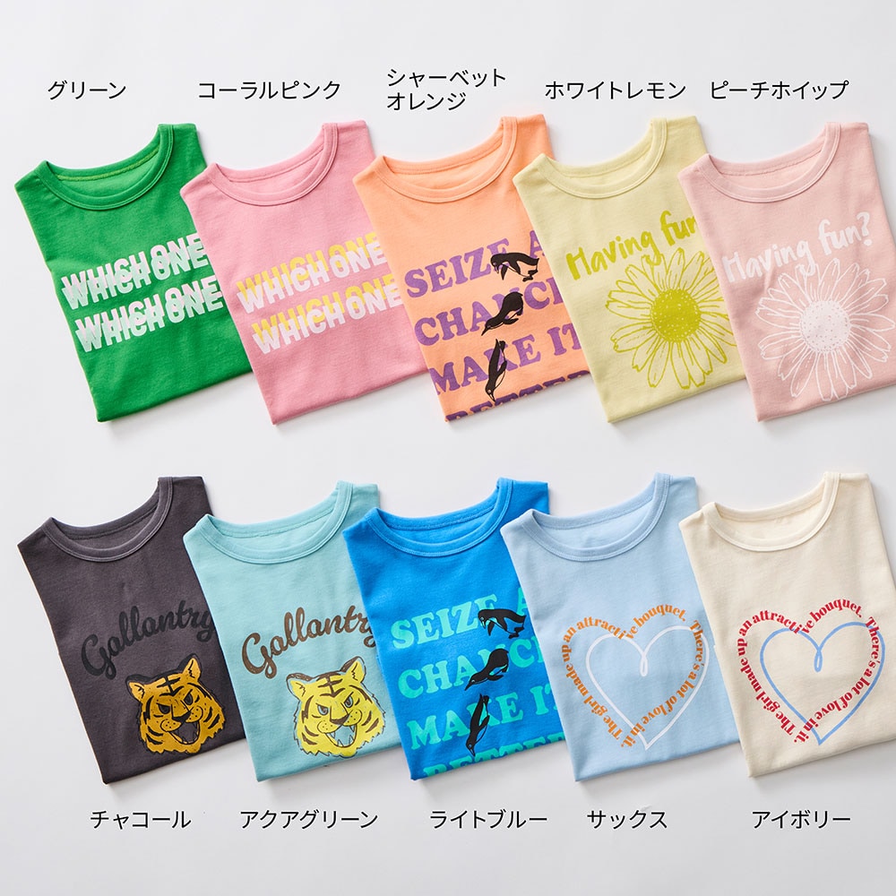  🆕【⭐訂購⭐】🇯🇵日本直送 GITA 純棉印花短袖TEE［10款選］🌀 [ELBA-0174][260324]