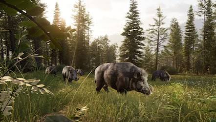 【預售 26/ 11】PS5 獵人征途 2 Way of the Hunter 2  中/英/日文  ( 日文封面 )