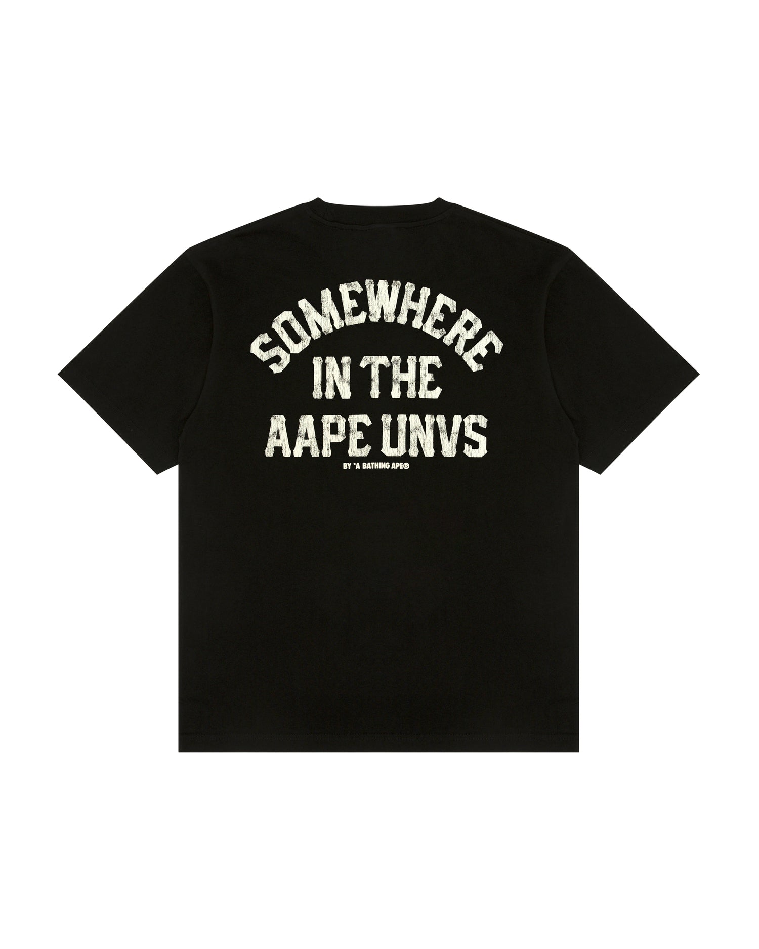 AAPEUNVS tee (10033X)