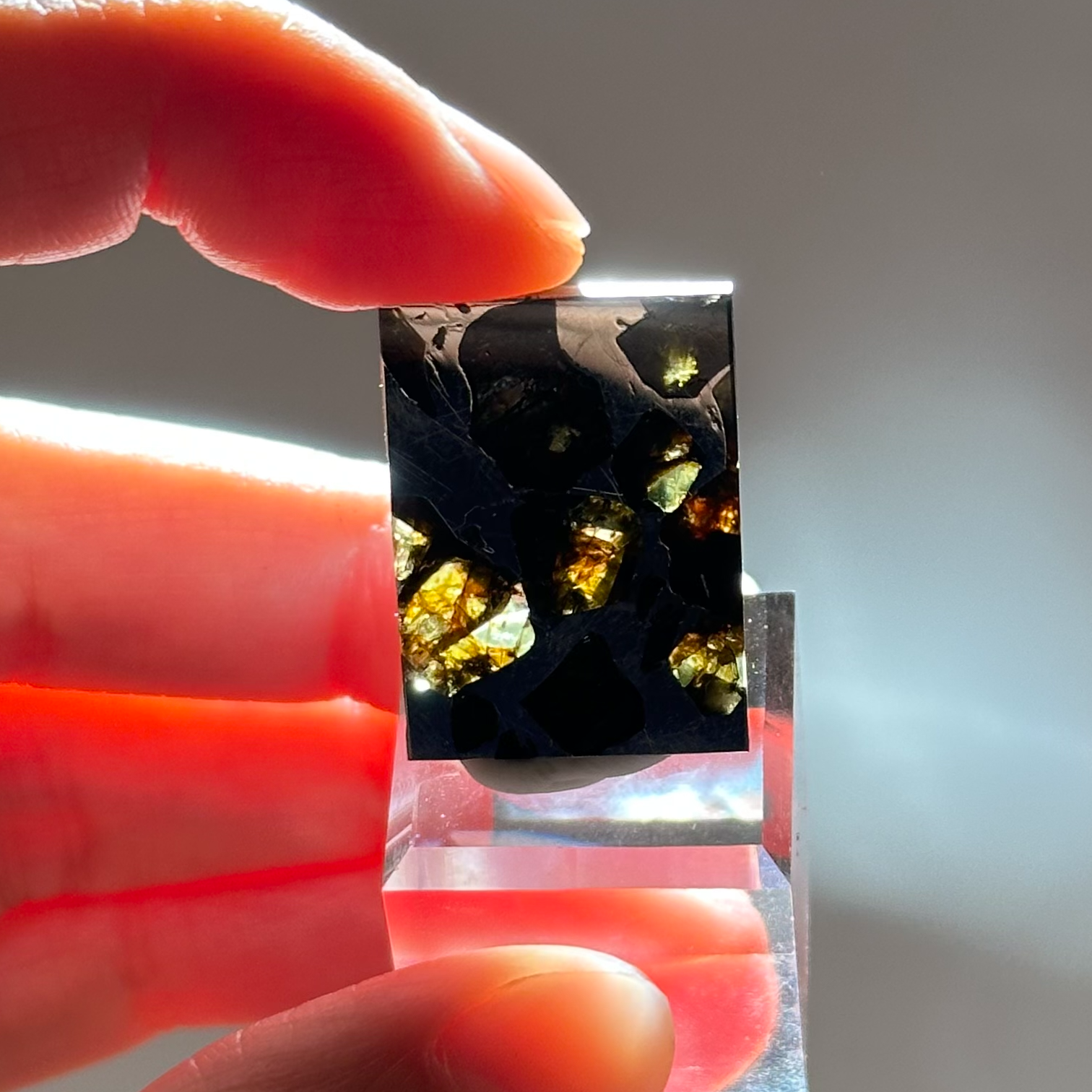 橄欖鐵隕石 - Pallasite Meteorite｜PA02