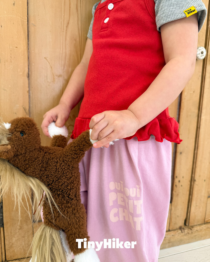 🇰🇷Tiny Hiker長褲