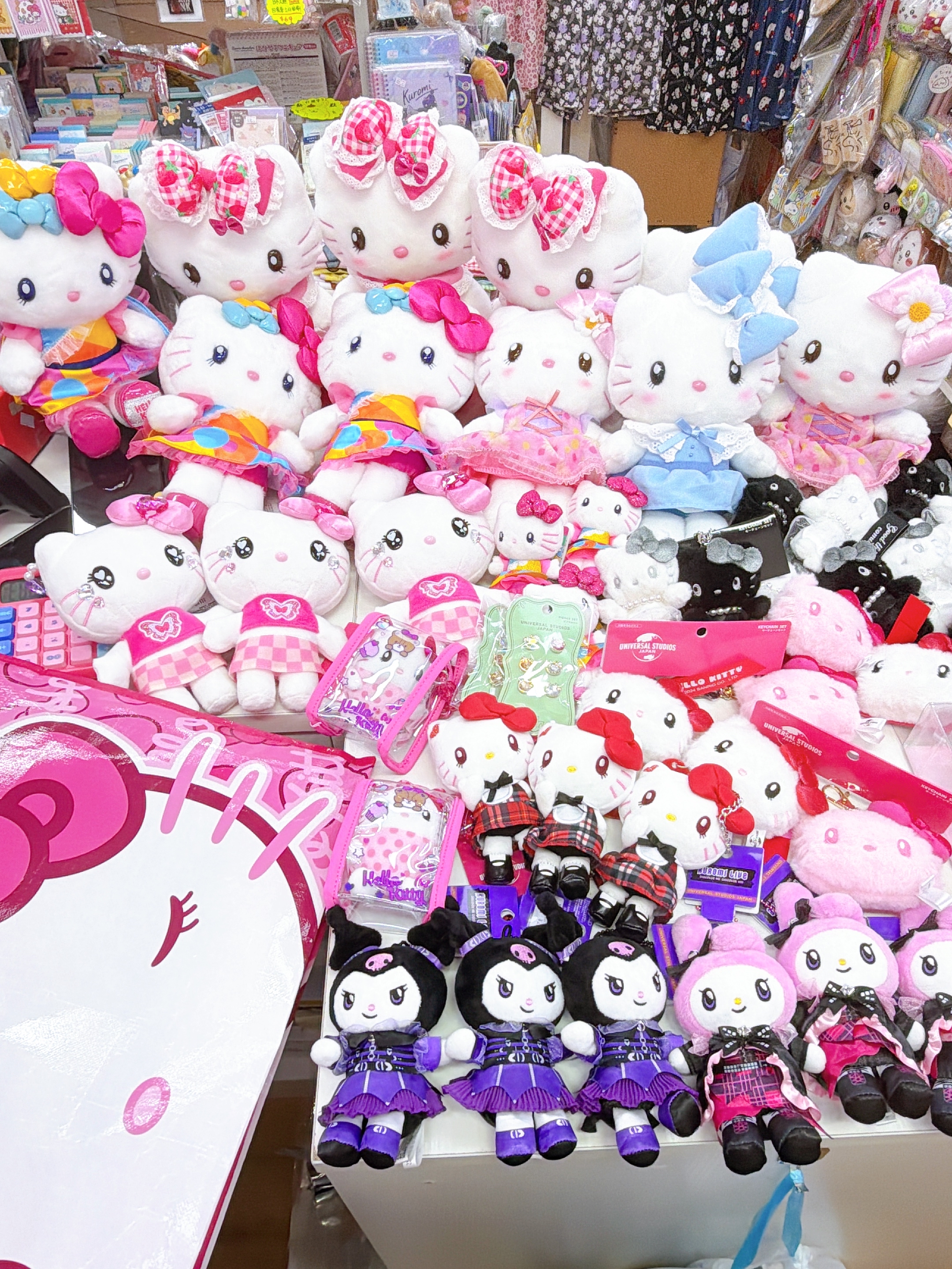 日本直送環球影城usj 園區限定商品 Kitty公仔/公仔掛飾