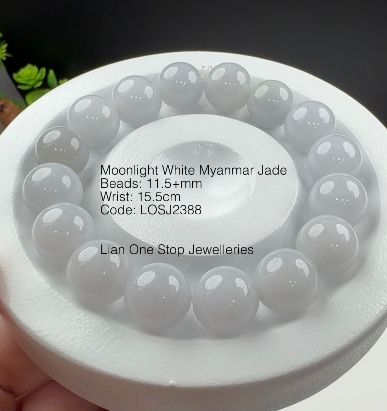 Code: LOSJ2388 Moonlight White Myanmar Jade 11.5+mm 