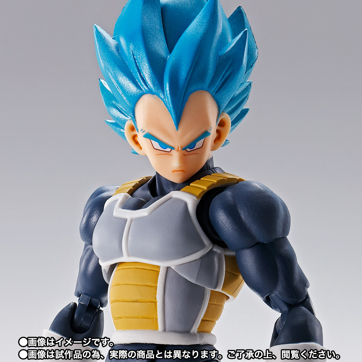 SHF Dragon Ball Super Saiyan God Super Saiyan Vegeta 15th Anniversary