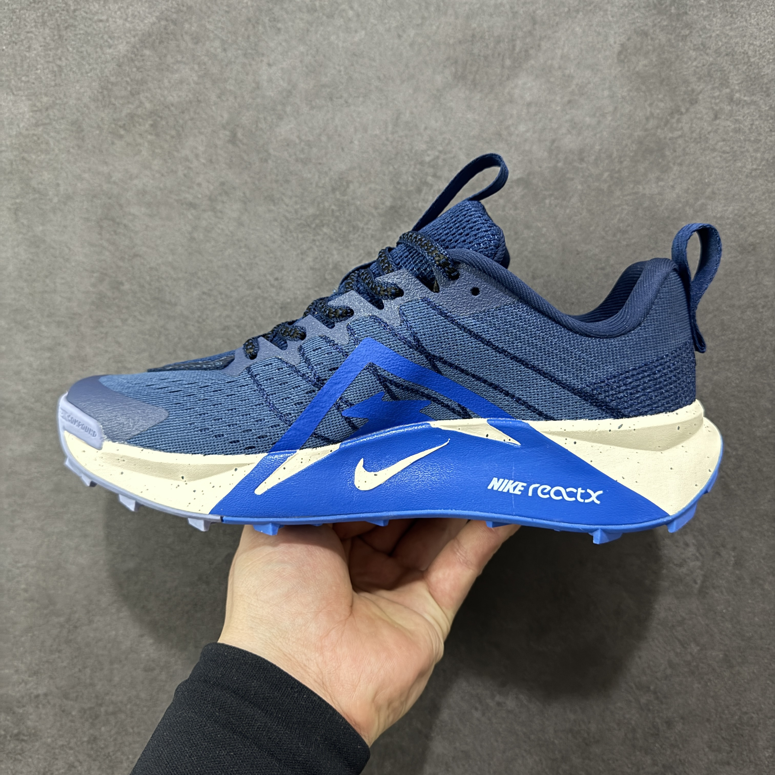 Nike ReactX Wildhorse 10 FV2337-400