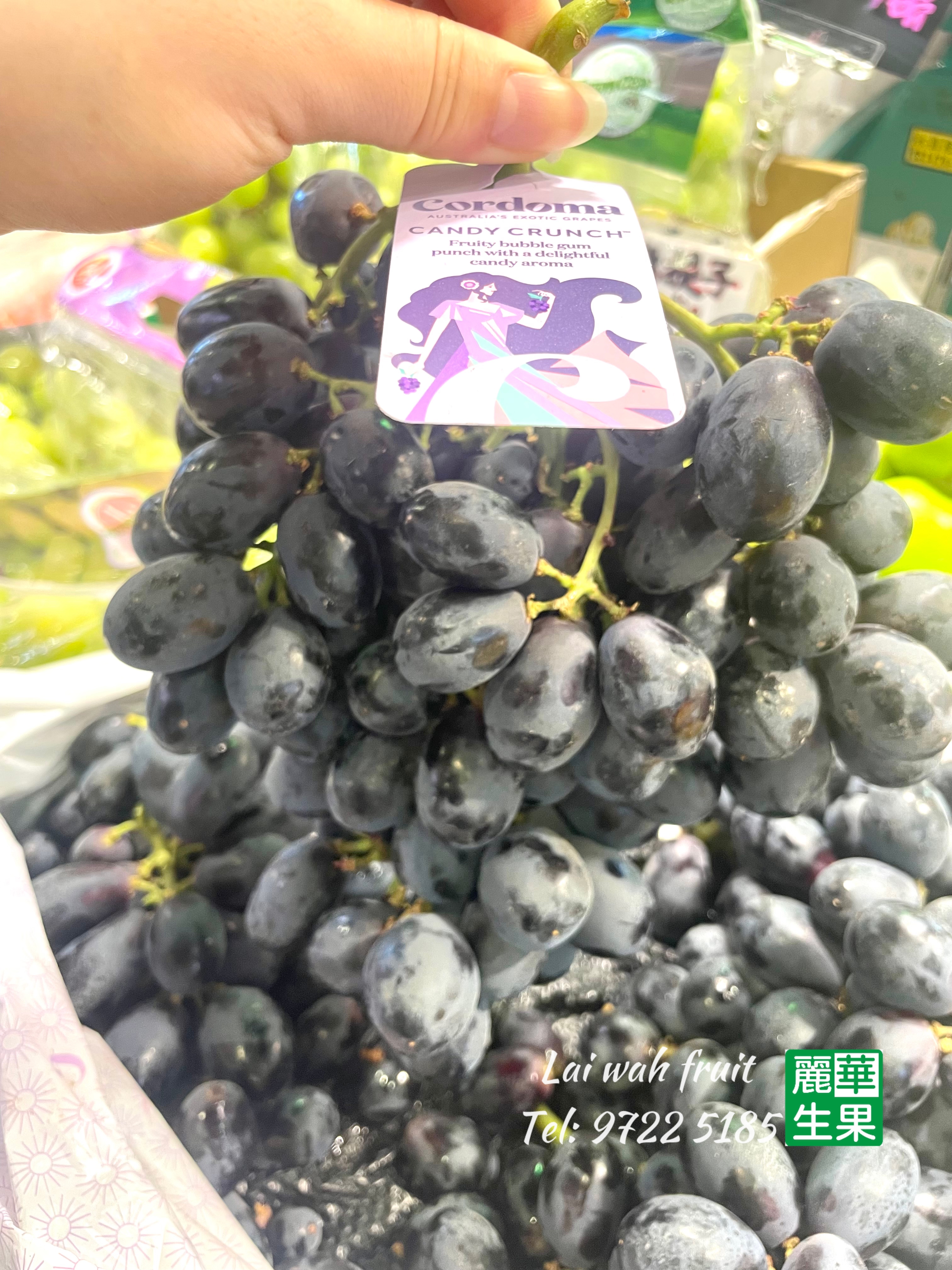 澳洲 【🍭棉花糖爽甜無核黑提子 🍇 】