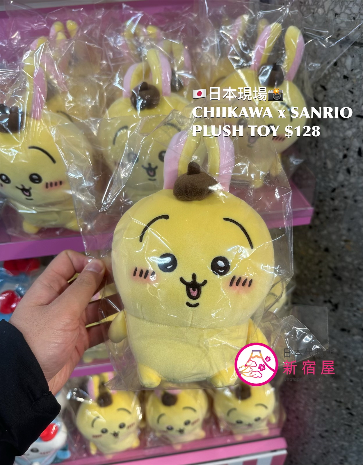 CHIIKAWA x SANRIO PLUSH TOY