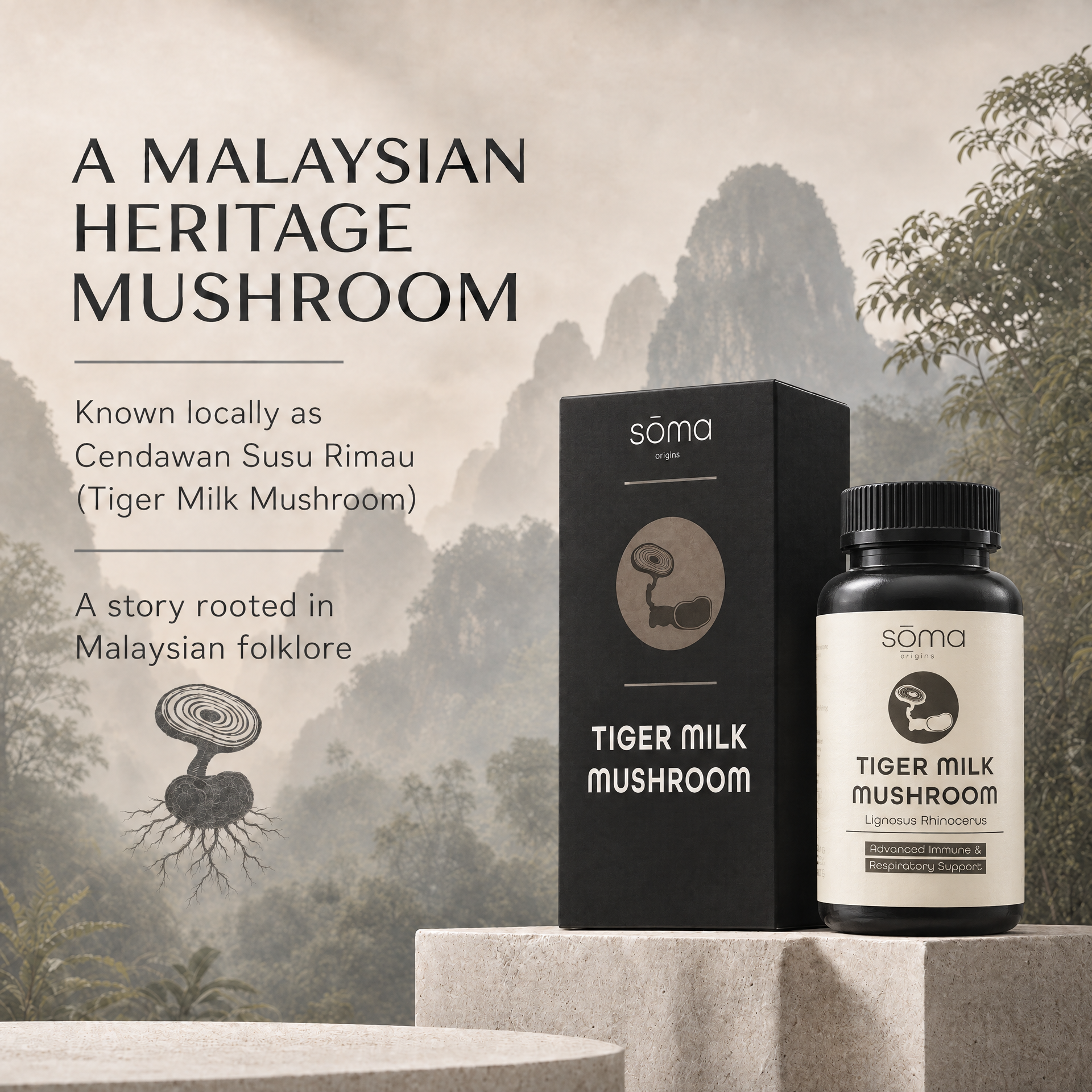 Soma Origins - Tiger Milk Mushroom Extract 虎乳芝 60粒膠囊 (Lignosus Rhinocerus) 