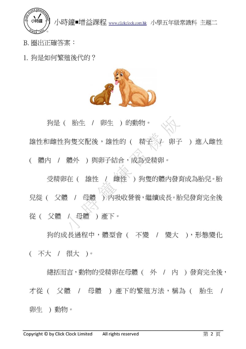 模擬試卷 (五年級)