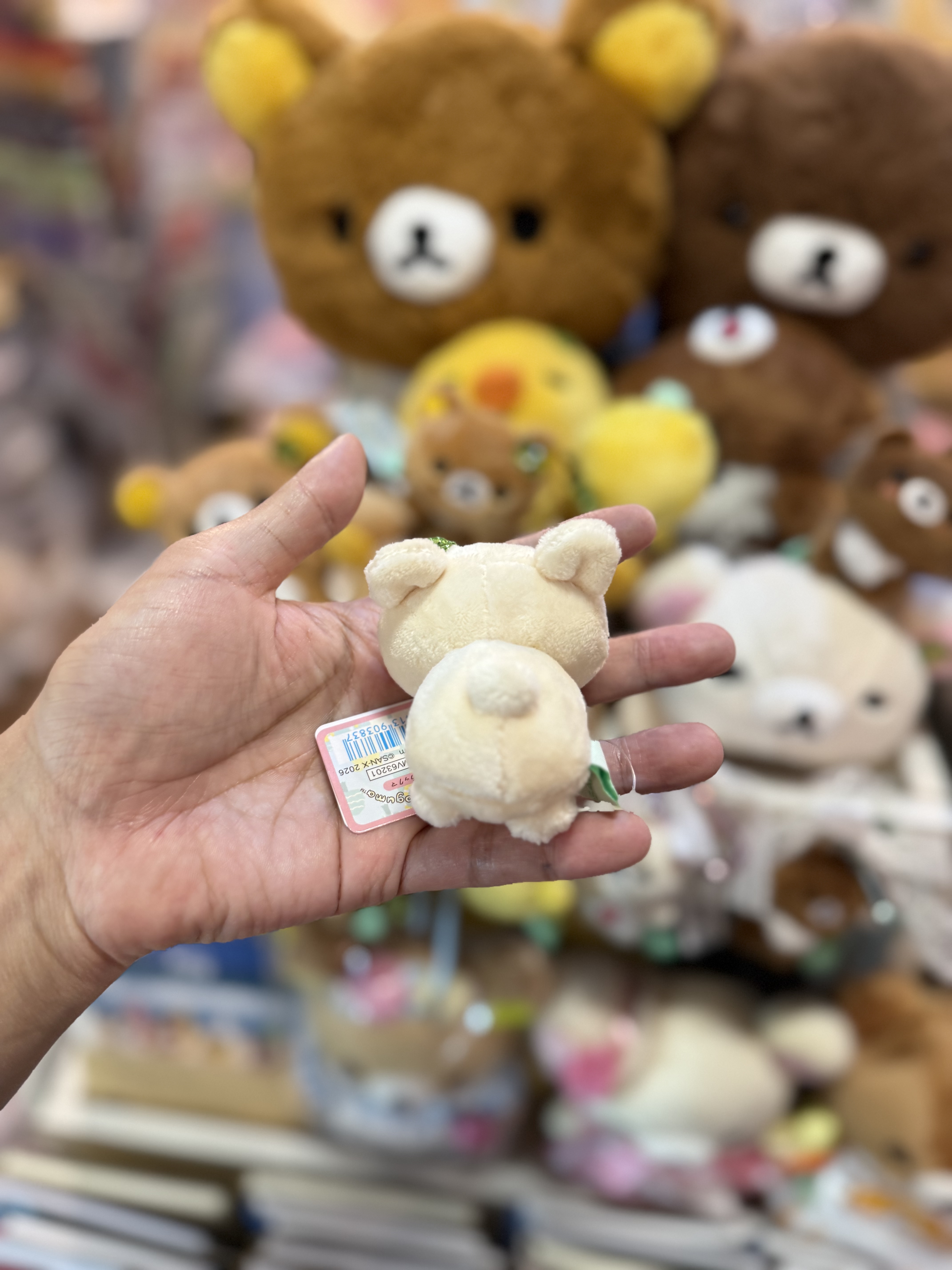 《現貨》全新小熊10週年紀念四葉草系列趴地手玉公仔