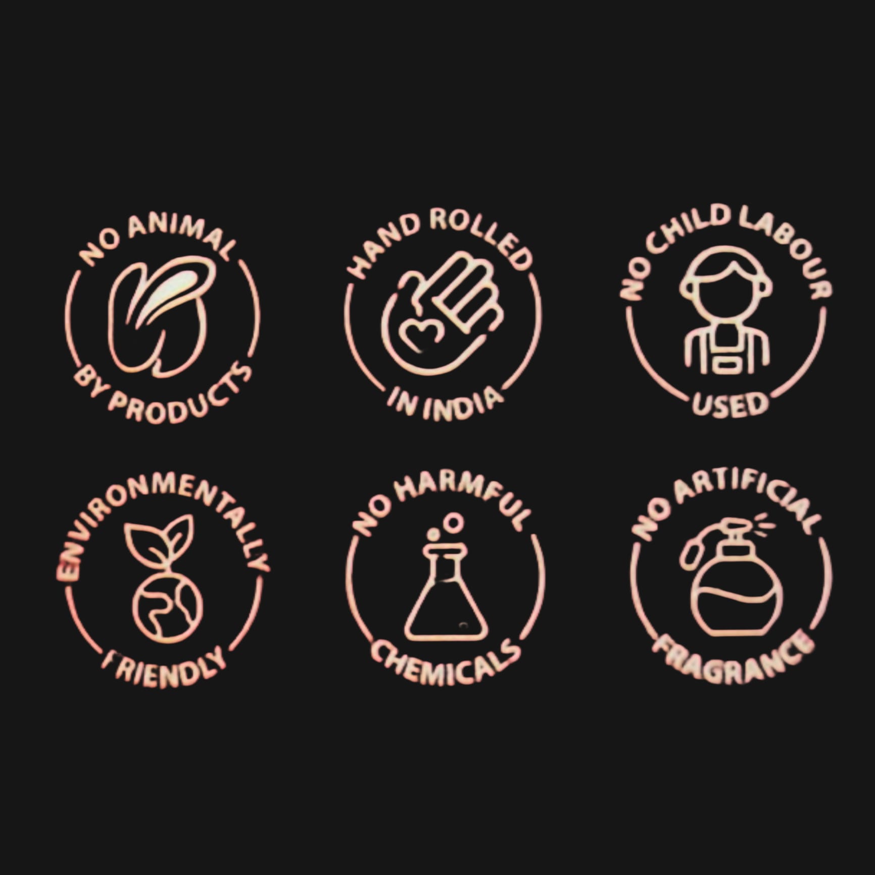 Salvia Blanca (白鼠尾草)