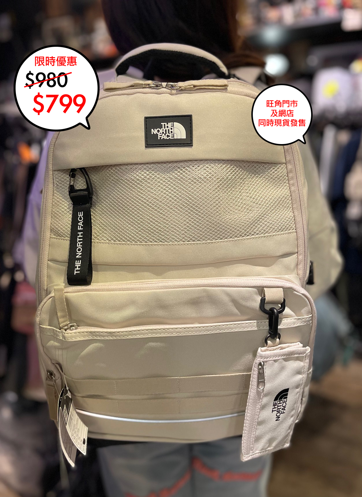 The North face 韓國限定 Dual pro III backpack 系列