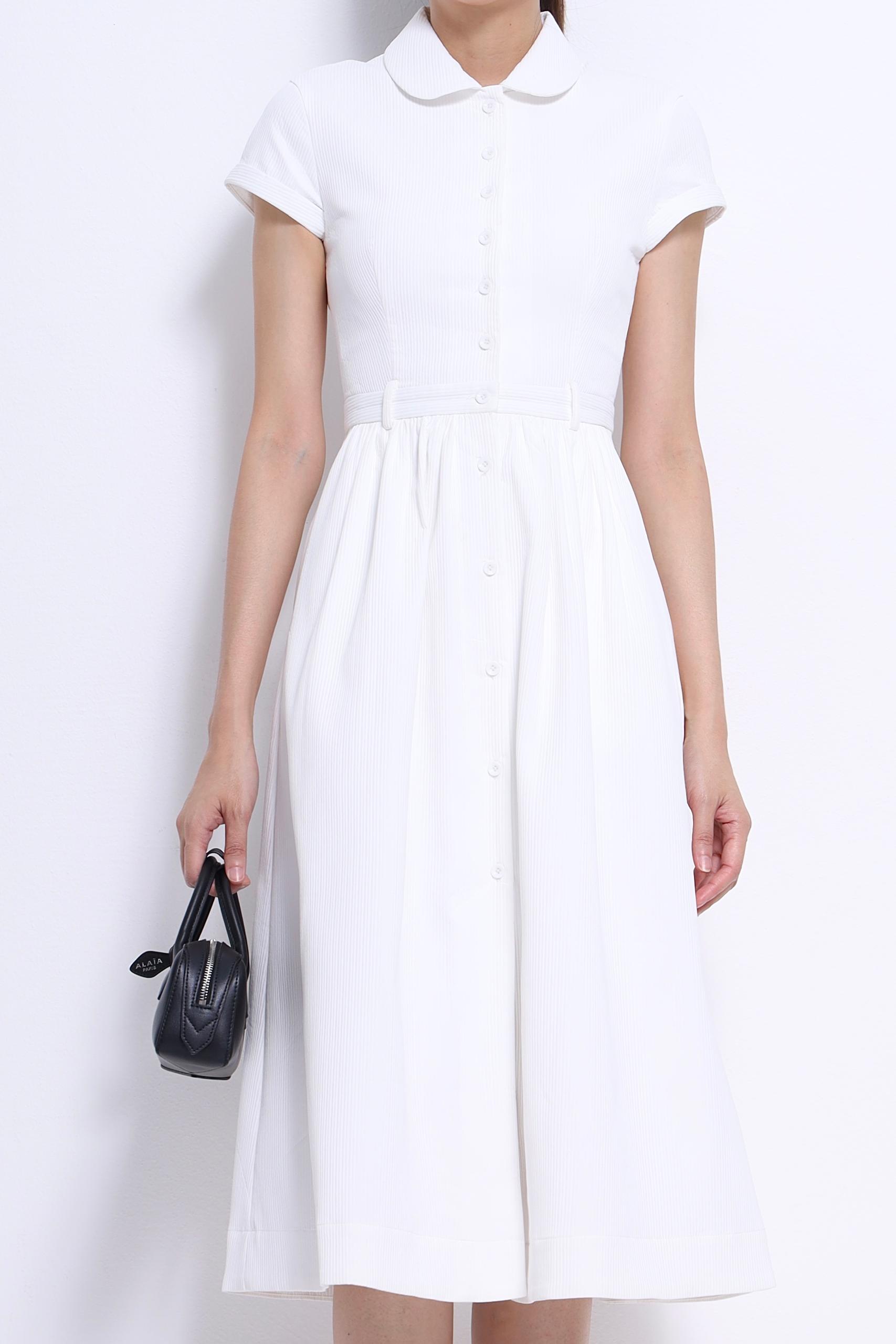 CD2145 BOLD COLLAR SHORT SLLV BUTTON DRESS