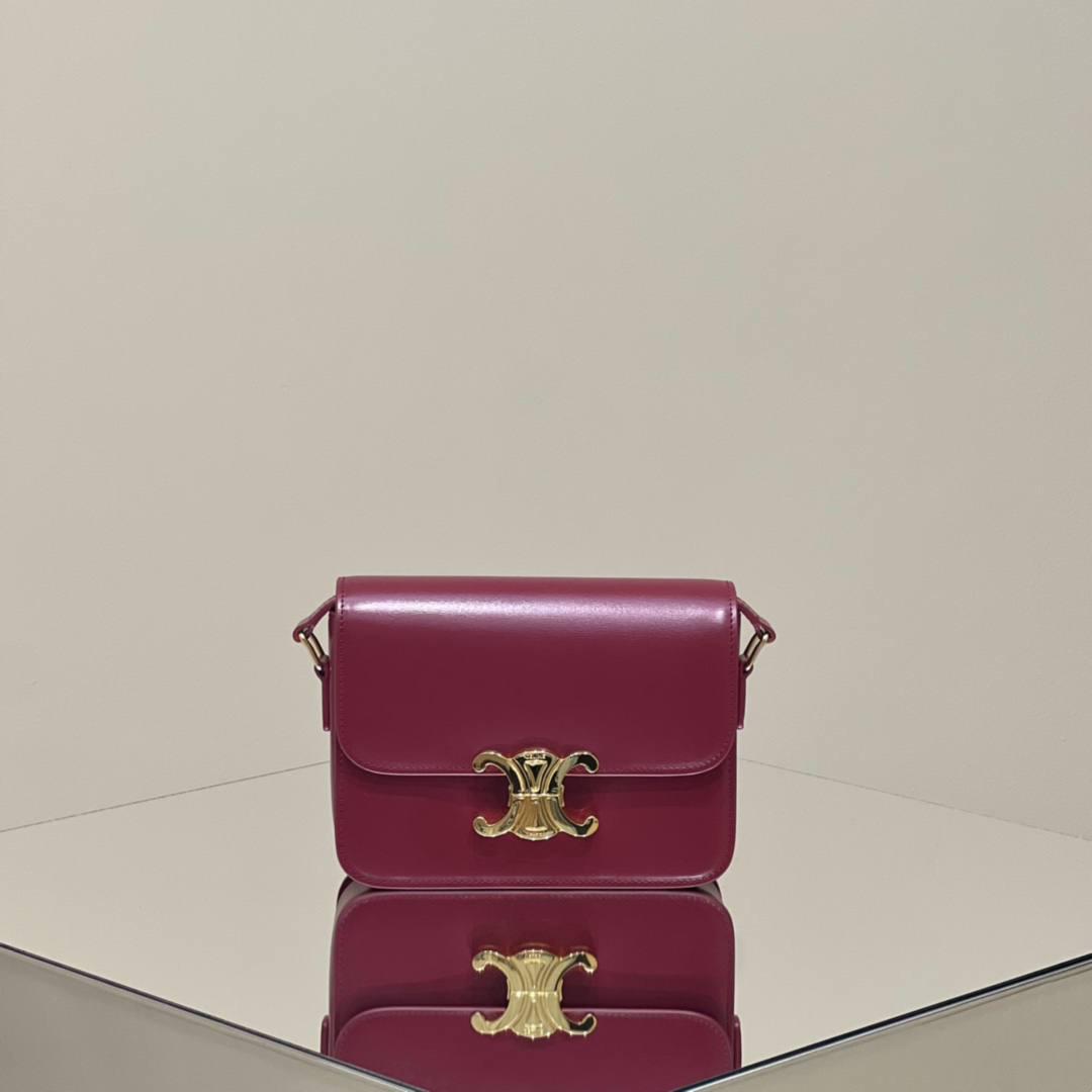 🔥大货实拍图 𝗖𝗘𝗟𝗜𝗡𝗘 ♥ 𝗧𝗘𝗘𝗡 𝗧𝗥𝗜𝗢𝗠𝗣𝗛𝗘 型号：188423 中号尺寸：22.5*16*7cm 小号尺寸：18.5*14*6cm