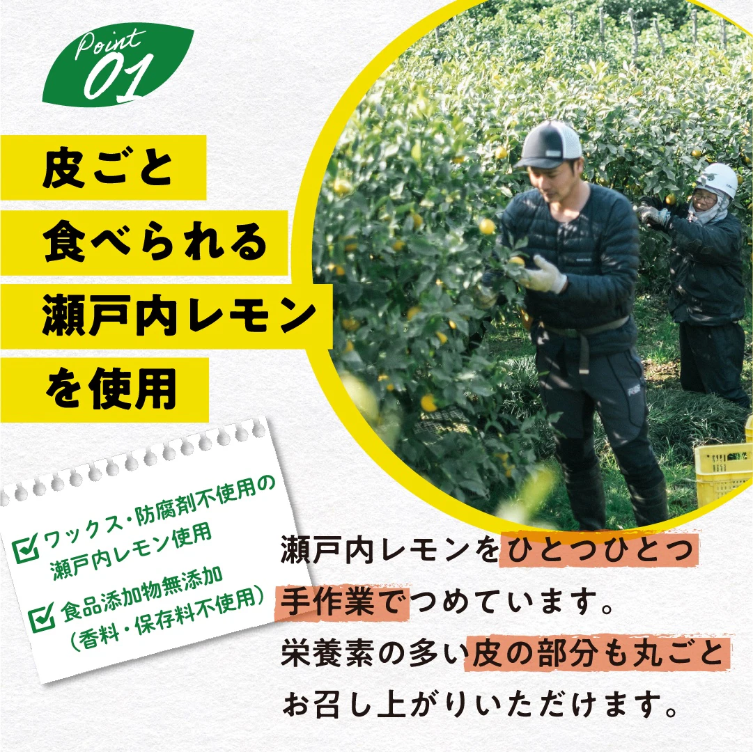 【天然美顏】日本製 瀨戶內檸檬蘋果醋 (220g)