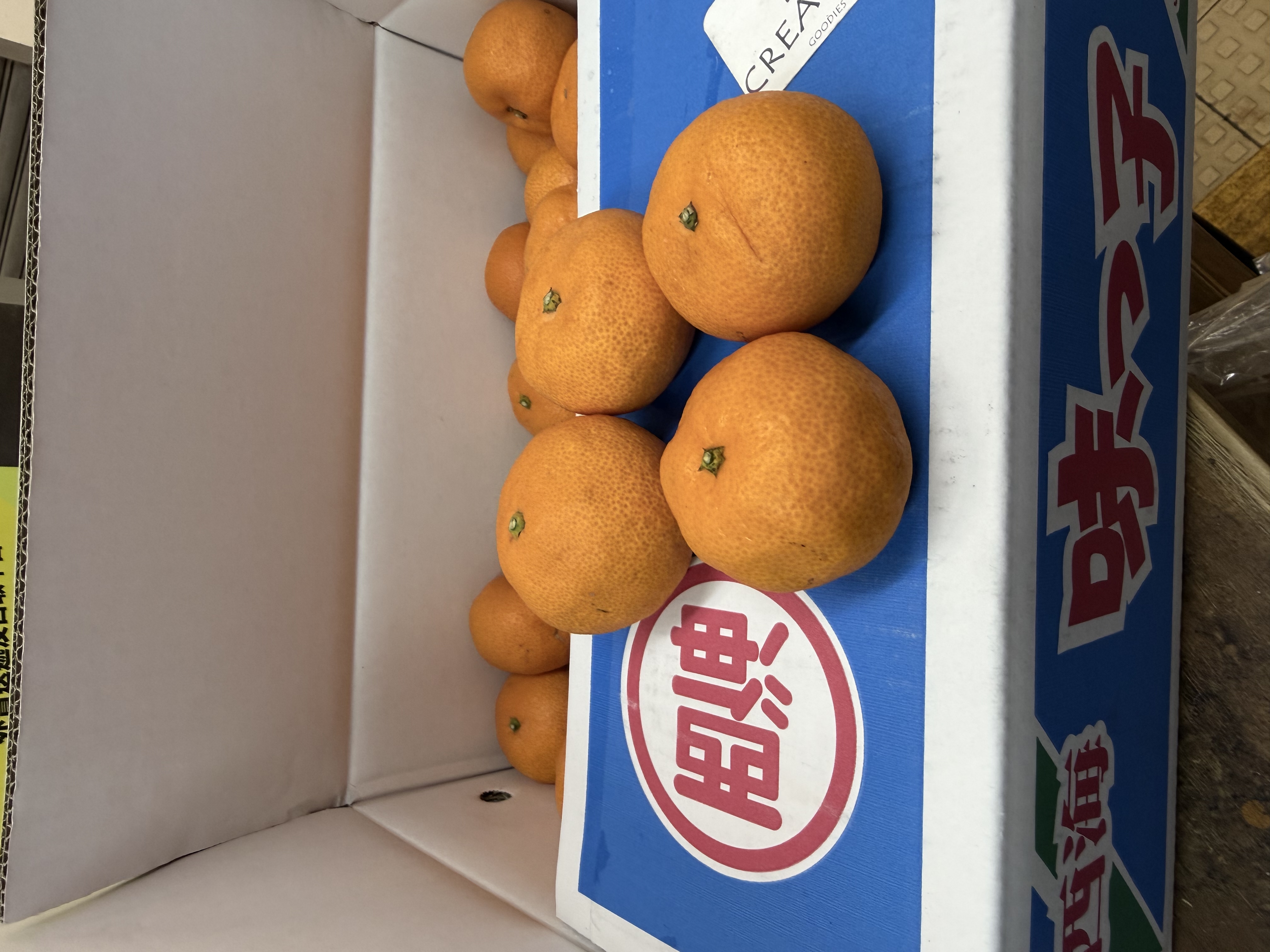 日本長崎産蜜柑 JA 温室みかん M 1磅（±7-8個）