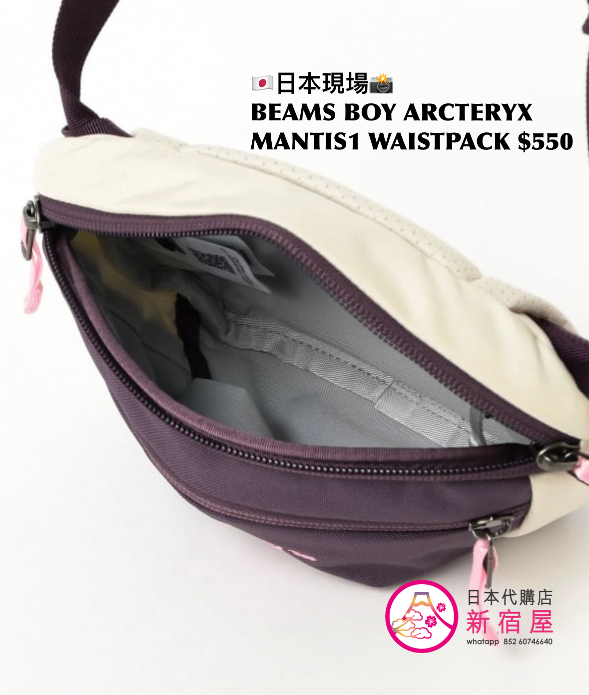BEAMS BOY x ARCTERYX MANTIS1 WAISTPACK 