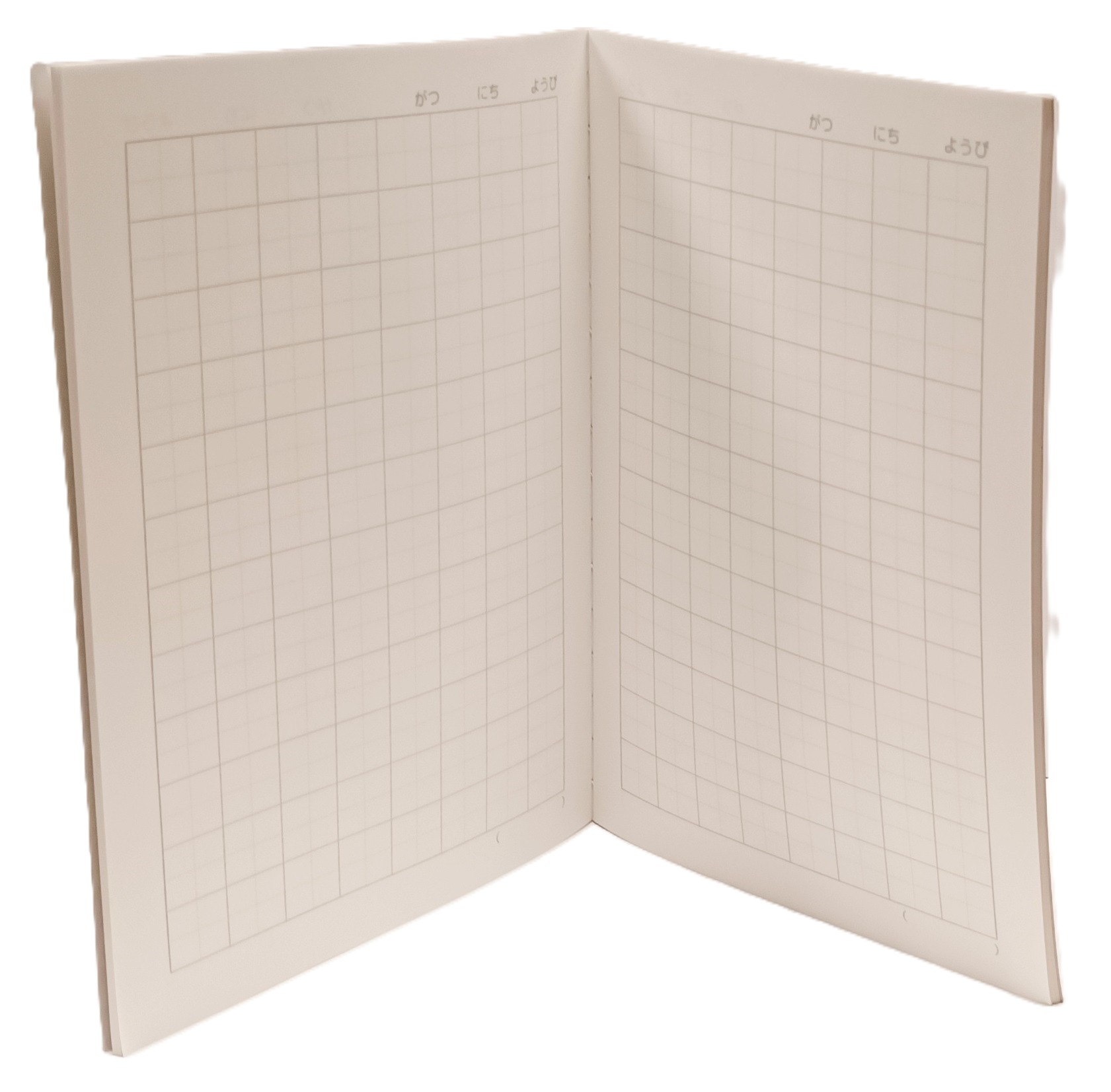 B5學習帳-18mm方格 MIFFY  (537DB)