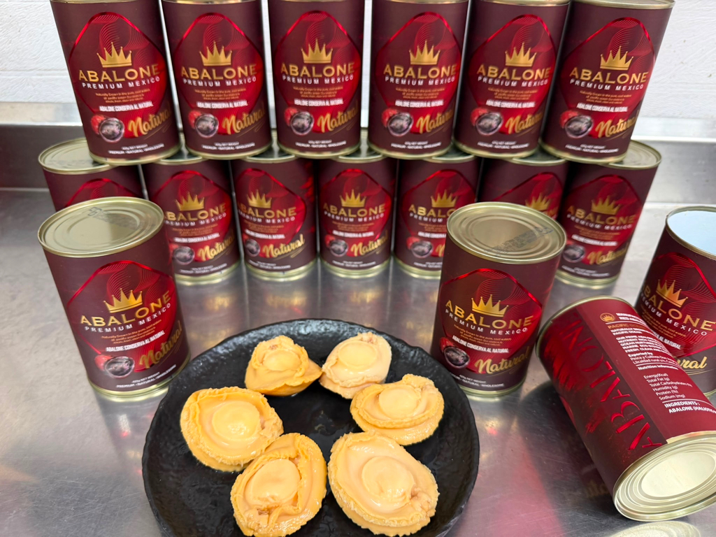 Abalone Premium Mexico紅包裝罐頭鮑魚4/6頭