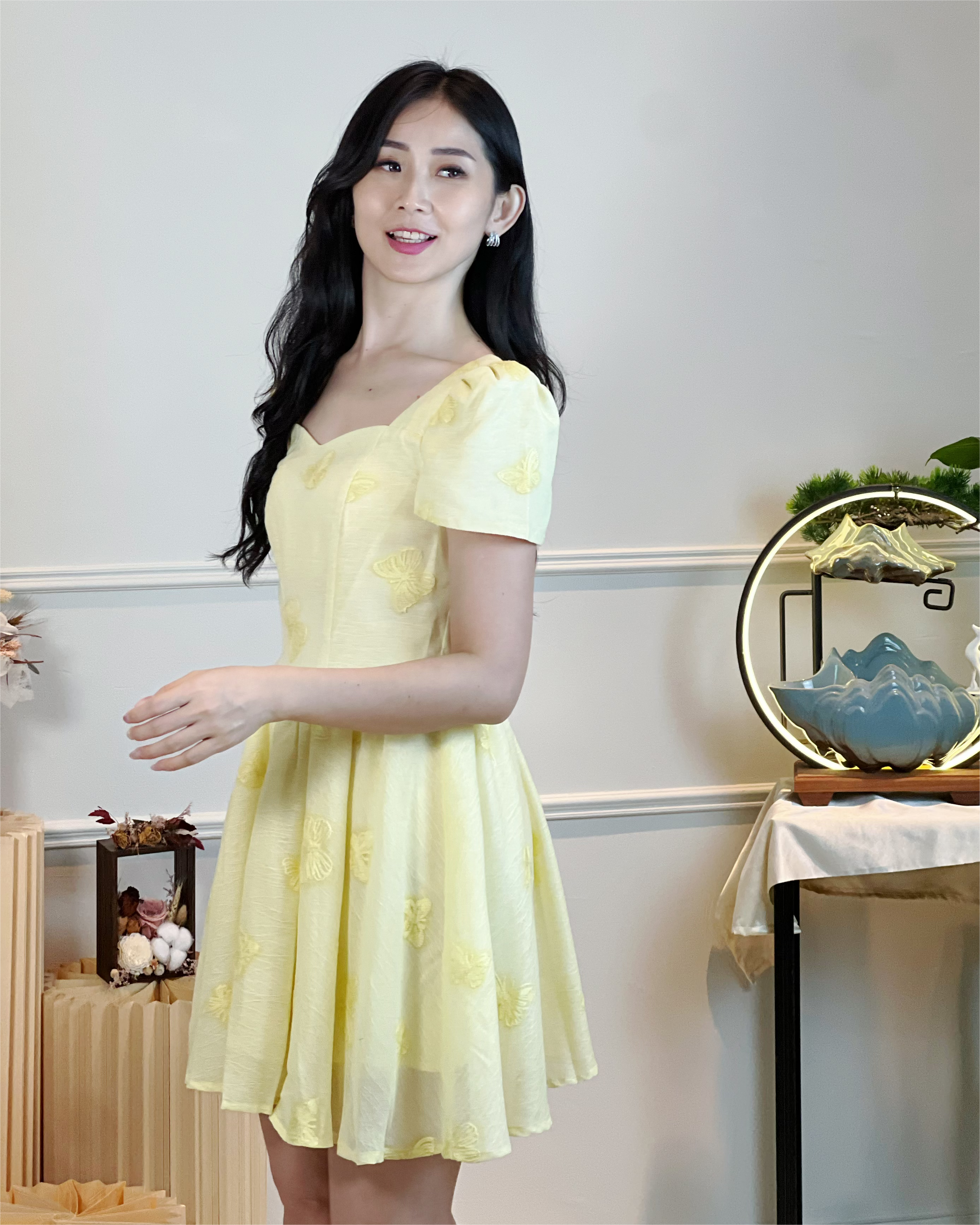 5101 Evangeline Embroidered Butterfly Mini Dress