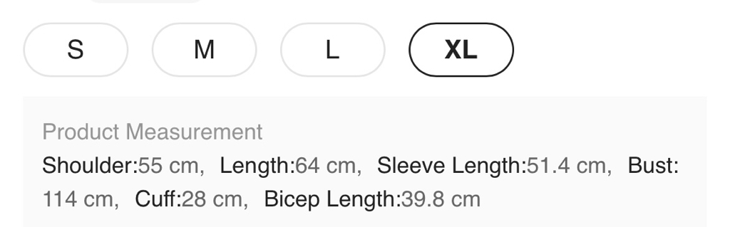 （多色）閃亮透視長袖上衣