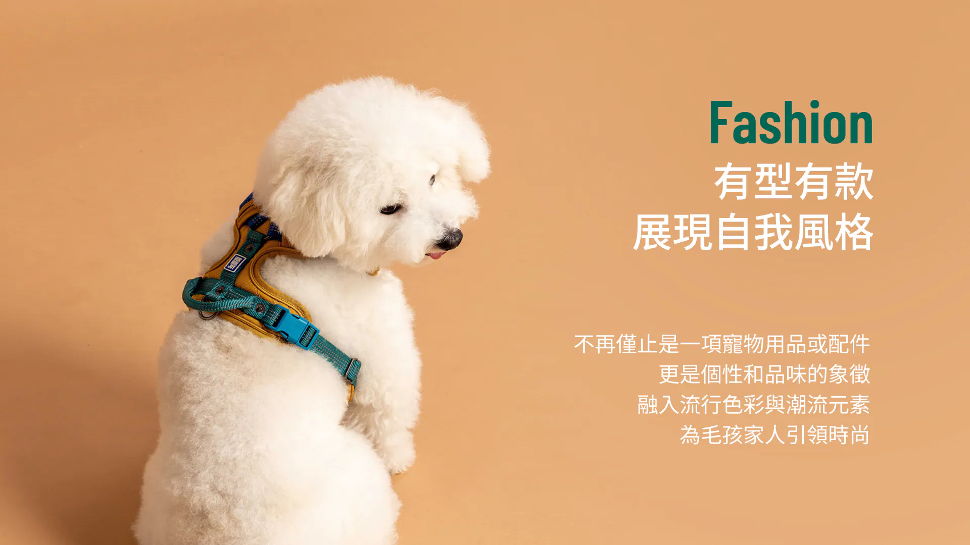 HORHORJOY 胸背帶 (鉑金款 紫)