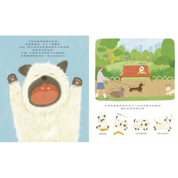 🔸預購貨品🔸誠徵主人最佳拍檔就是你