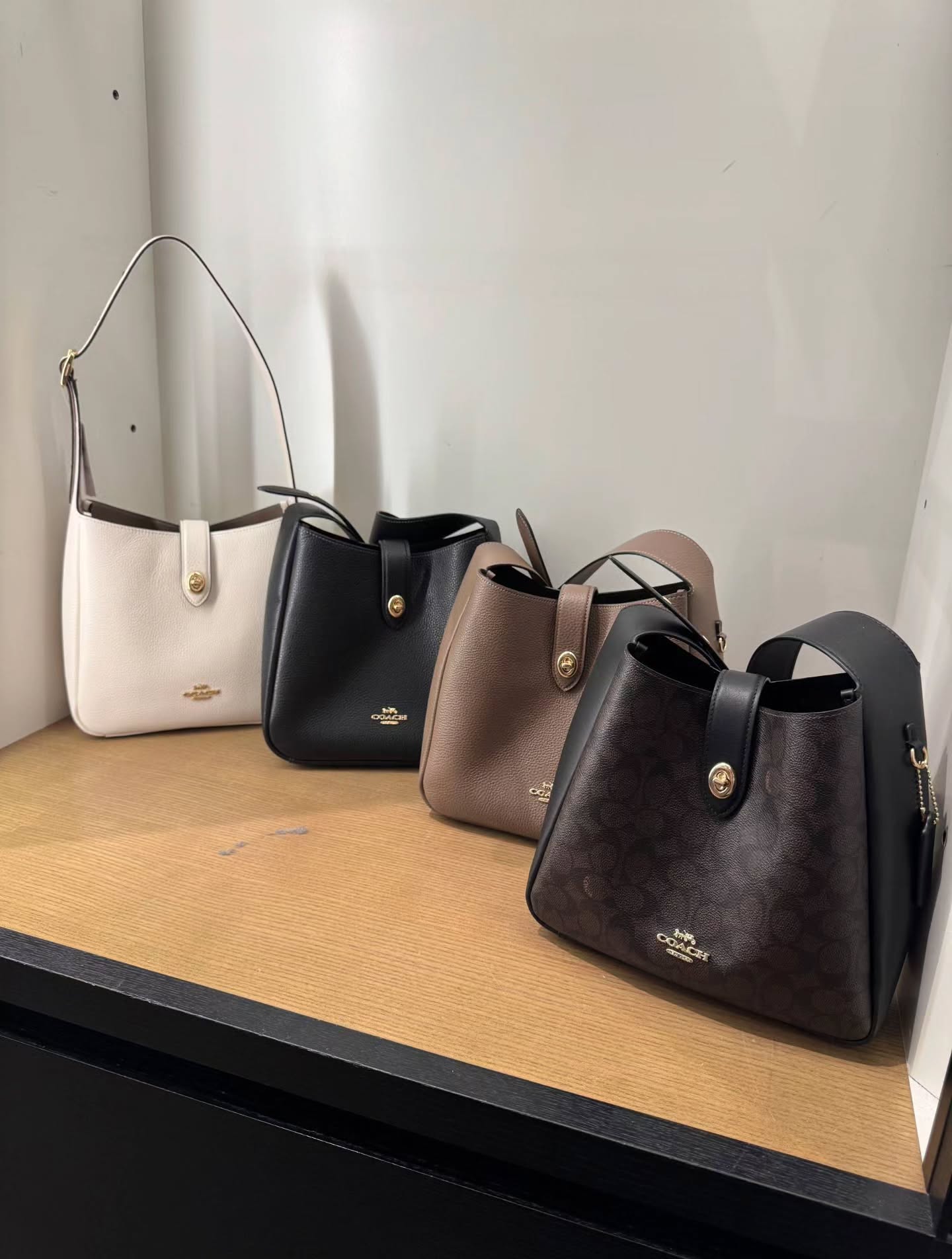 🇯🇵Coach Hadley 25 哈德利水桶包