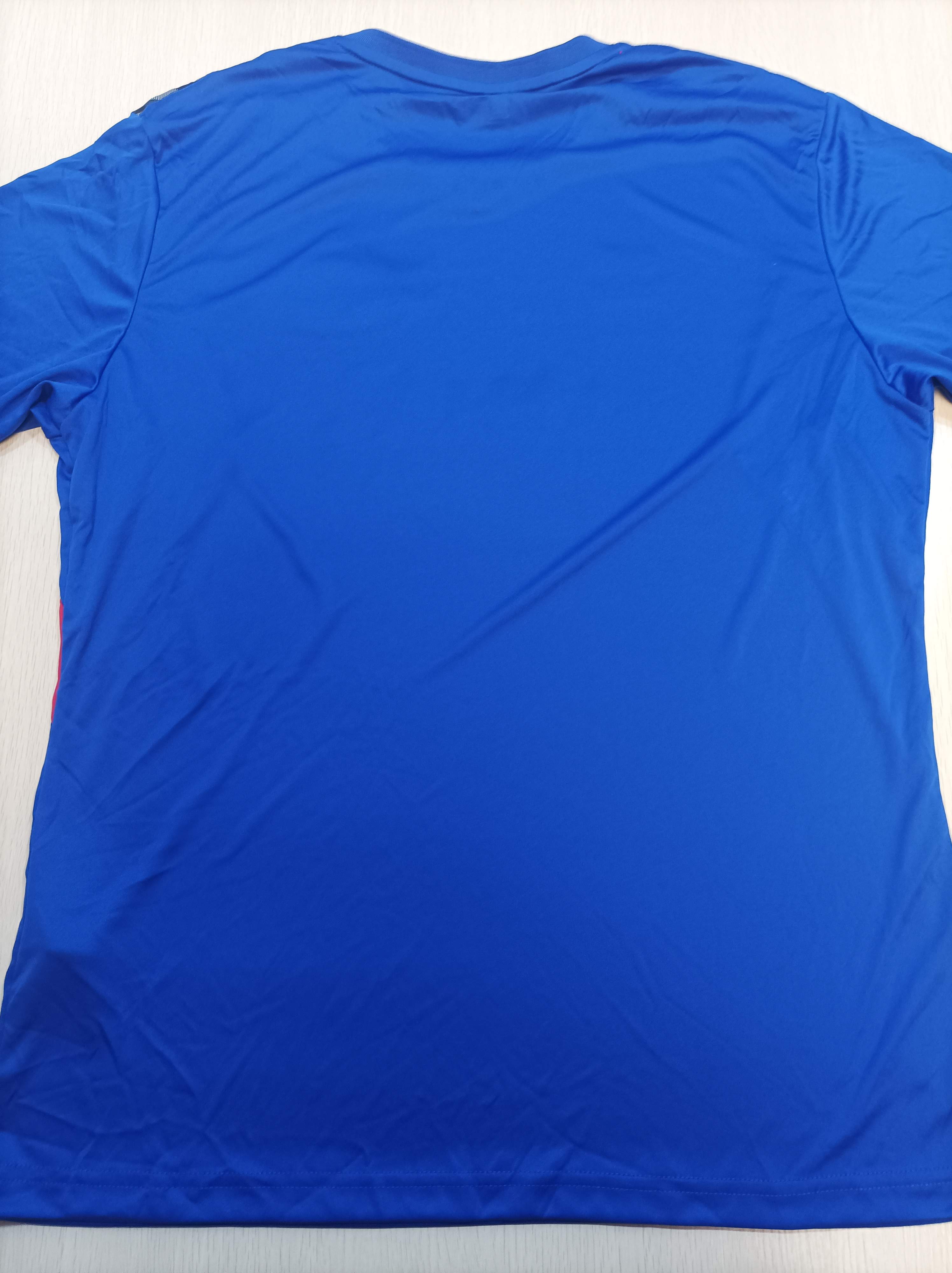 Sunderland AFC 新特蘭 2024-2025