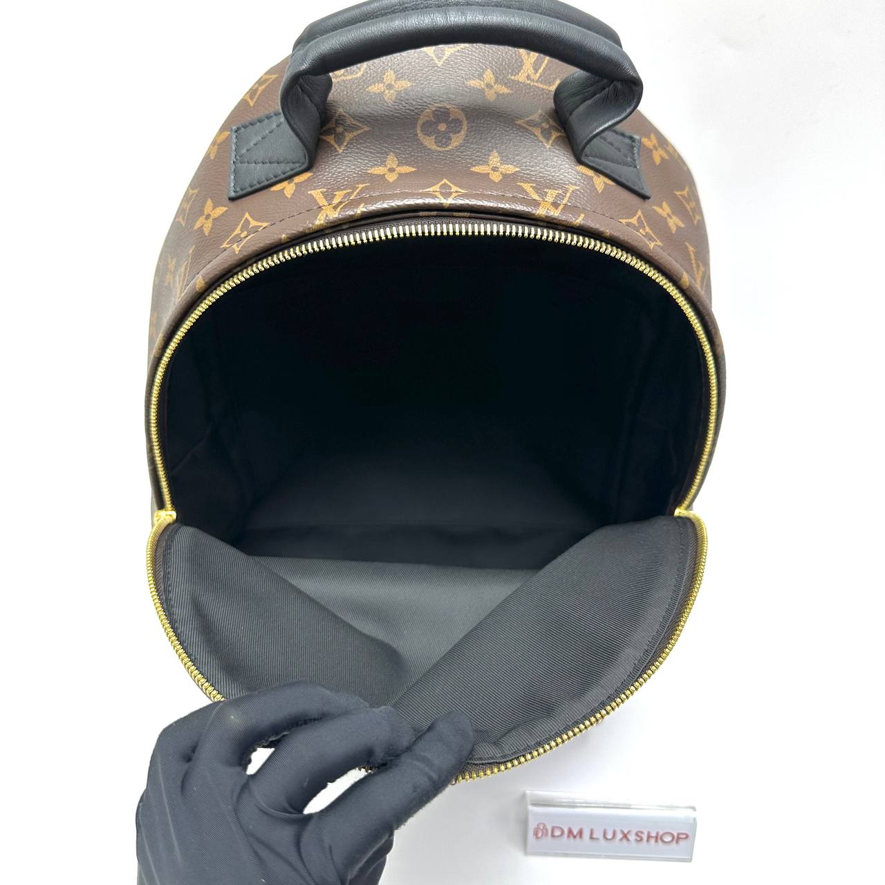 LV Monogram Palm Springs Backpack PM GHW
