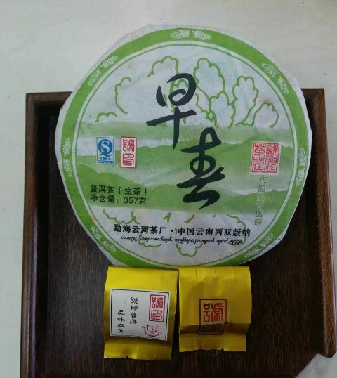 2009年 早春 - 布朗山大樹茶
