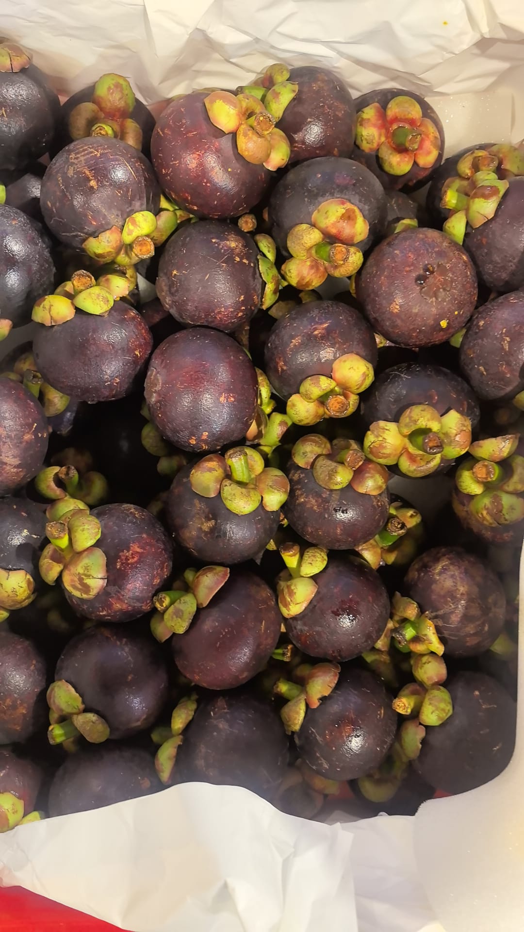 泰國空運5A山竹 每磅