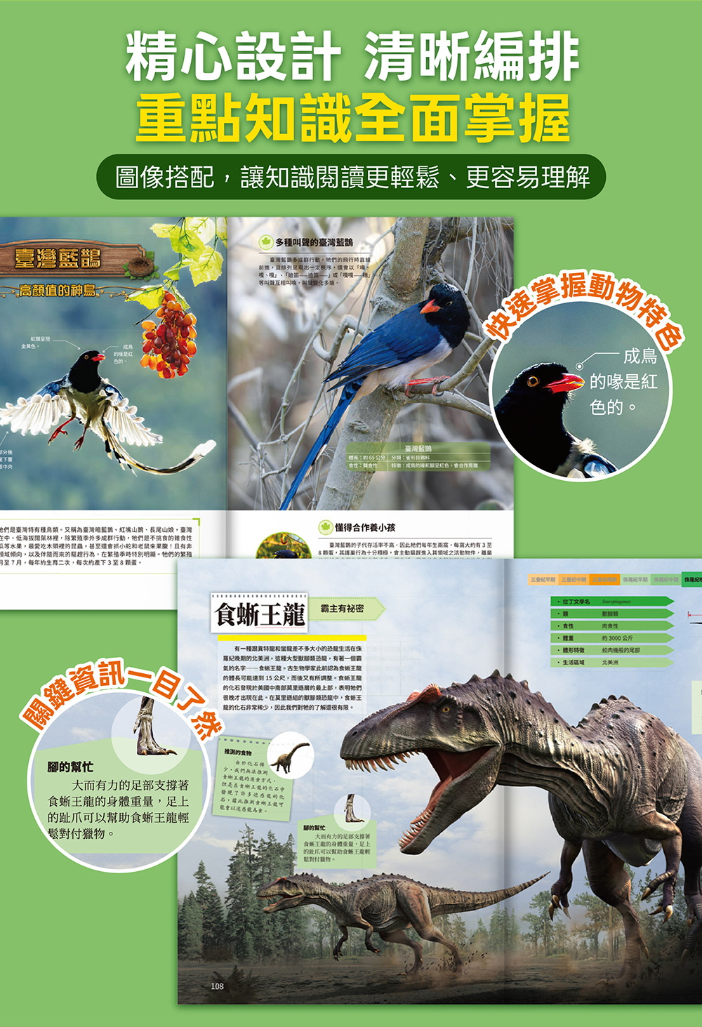 風車 恐龍大百科