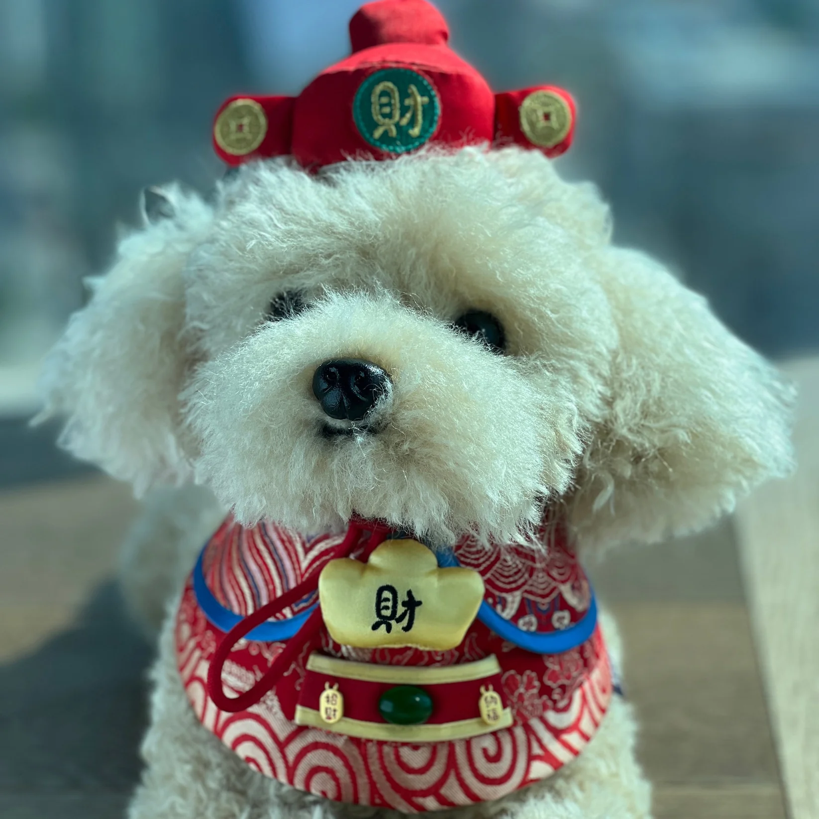 MOMOJI God of Wealth 財神