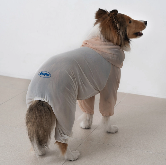 *Super Pet🇰🇷狗狗防蟲防護連身衣 (Bug Guard Suit)🐾（DG412）