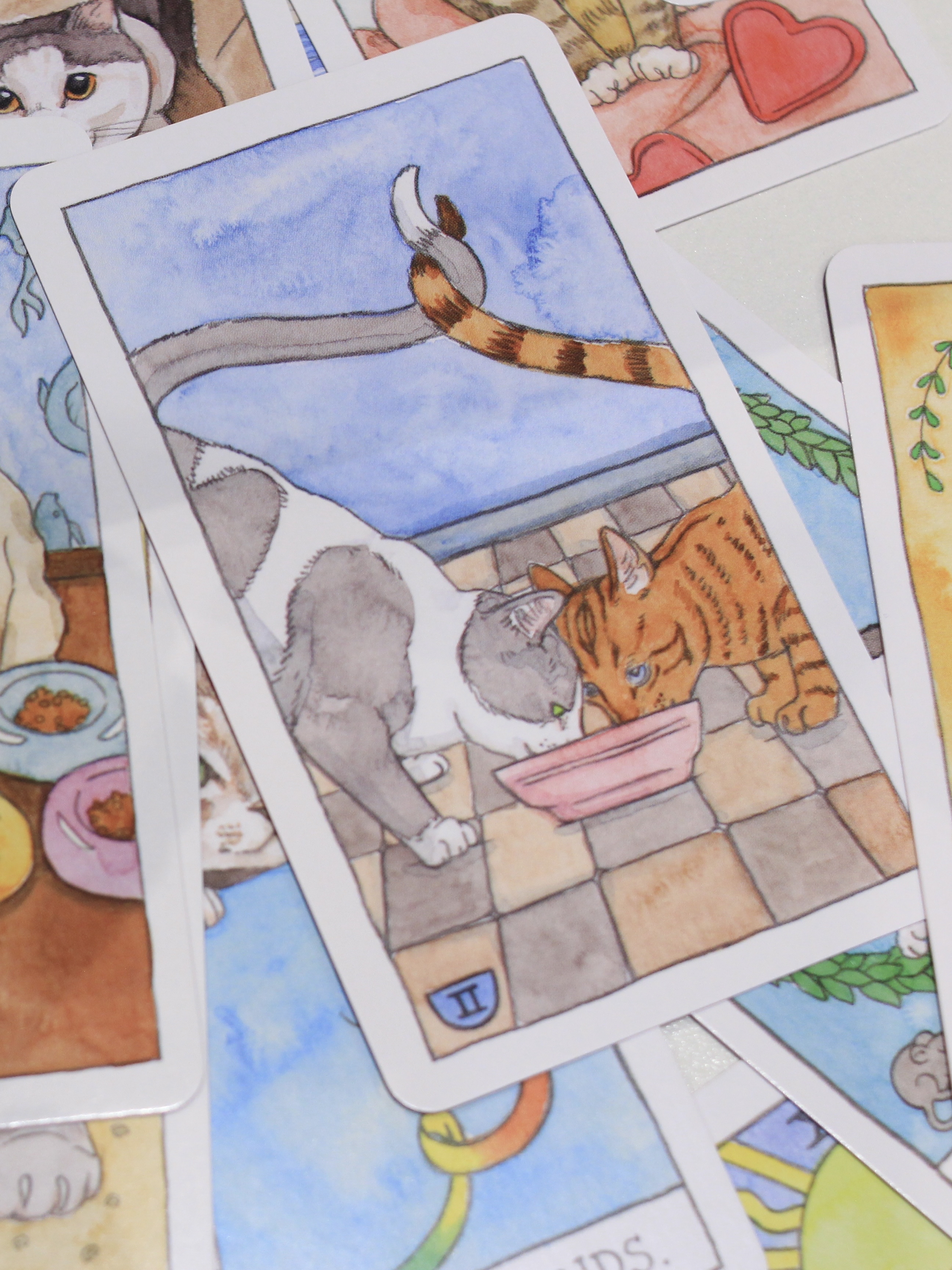 Cat Tarot 貓貓塔羅牌