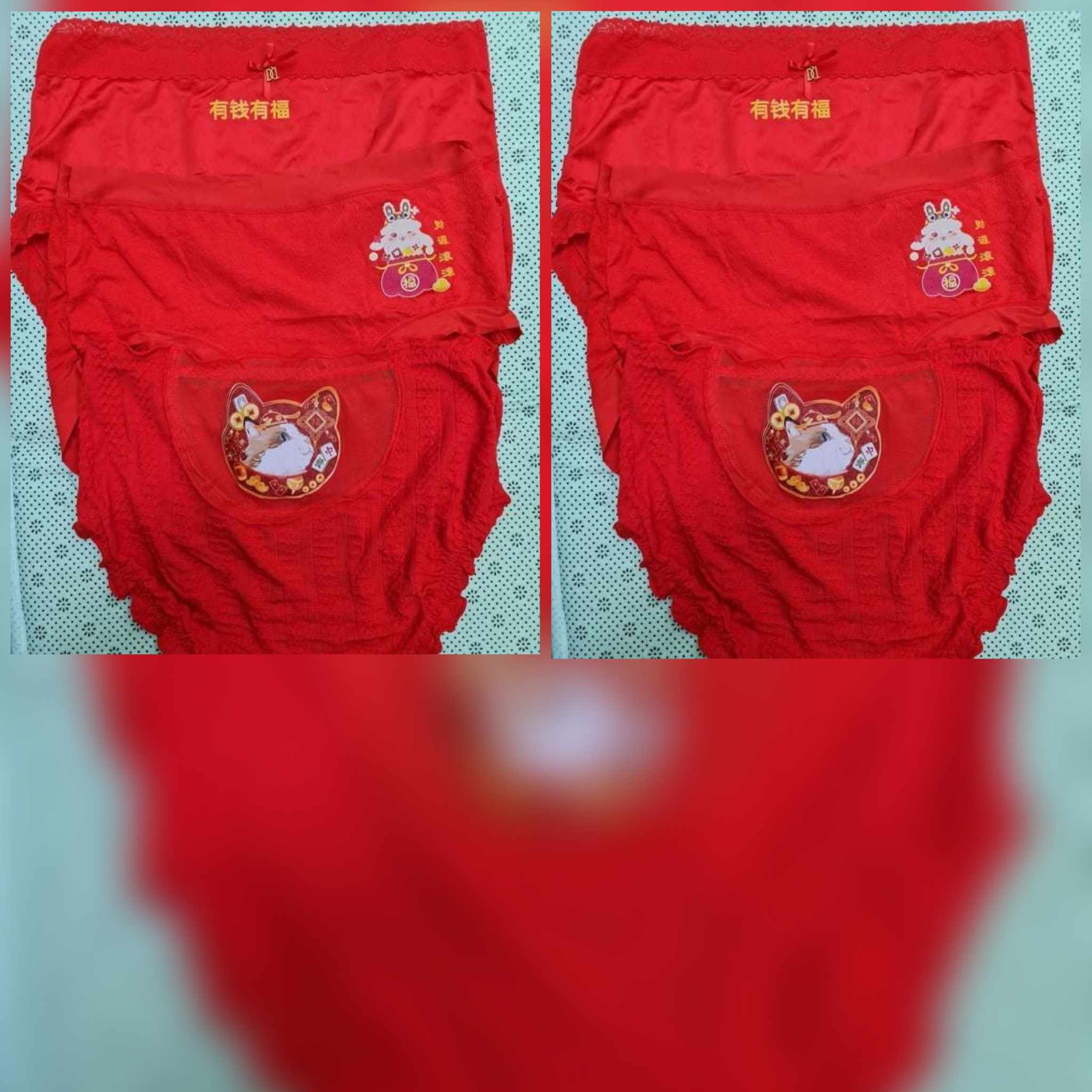 D5844 有钱有福兔内裤（一套三件）