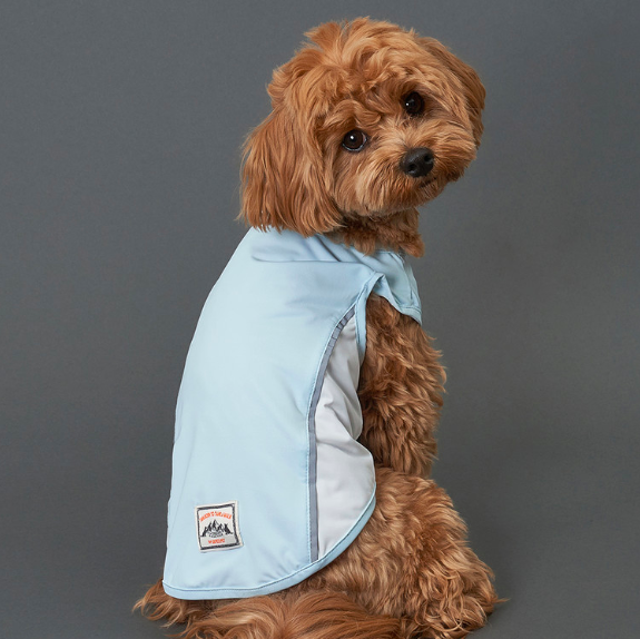 *SuperPet🇰🇷狗狗涼感機能背心