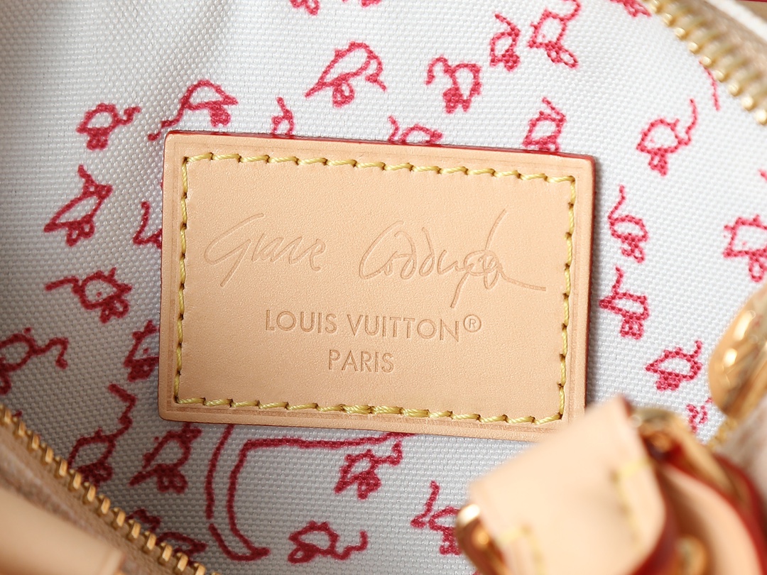 LV Louis Vuitton Speedy Bandouliere 20