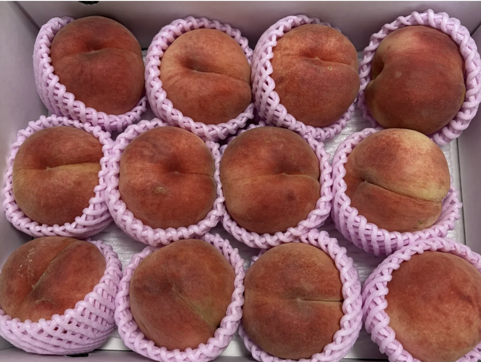 日本青森/山形縣產 川中島白桃｜秀級・12/13玉 $780